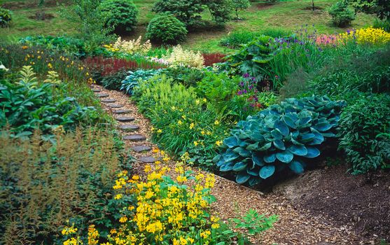 The bog gardens of a country garden in early summer
