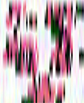 Abstract magenta, black and white vertical stripes background