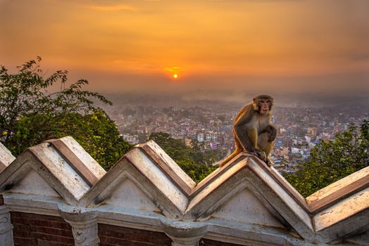 Sunrise above Kathmandu, Nepal, viewed from the Swayambhunath temple. Swayambhunath is also known as the Monkey Temple as there are holy monkeys living in parts of the temple. Hdr processed.
