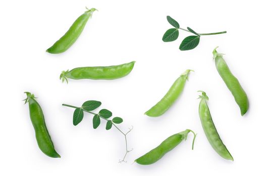 Green Pea (Pisum sativum) pods and leaves. Clipping paths, shadows separated. Top view