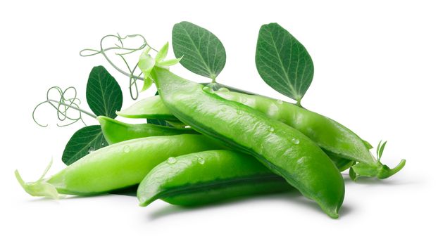 Pile of Green Sugar Pea pods (Pisum sativum) with leaves. Clipping paths, shadows separated