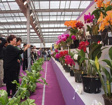 TAINAN, TAIWAN - MARCH 14: Visitors enjoy the flower exhibits of the 2013 Taiwan International Orchid Show on March 14, 2013 in Tainan.