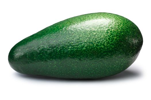 Whole green avocado Fuerte (Persea americana). Clipping paths, shadow separated