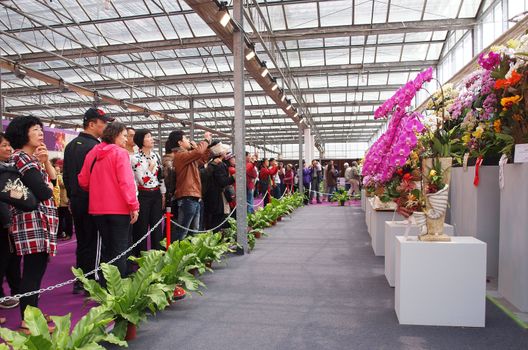 TAINAN, TAIWAN - MARCH 14: Visitors enjoy the flower exhibits of the 2013 Taiwan International Orchid Show on March 14, 2013 in Tainan.
