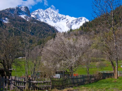 dolonne,courmayeur,val d'aoste,italie