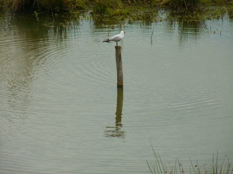 ecopole,loire,france