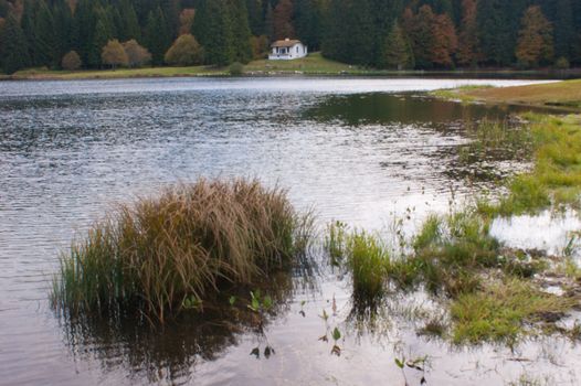 lac genin,ain,france