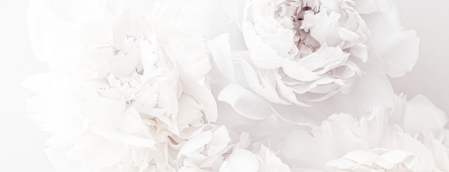 Pure white peony flowers as floral art background, wedding decor and luxury branding design