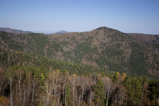 Big forest mountain valley from above. Hiking in the mountains.