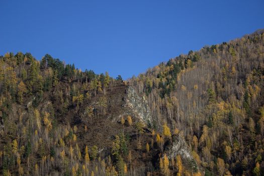 A wide river that lies in the mountain valley. Mountains near the river are covered with forests.