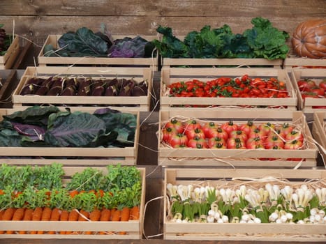 Crates of vegetables on display in a fake shop. Tomatoes, cabbage, peppers.