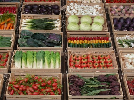 Crates of vegetables on display in a fake shop. Tomatoes, cabbage, peppers.