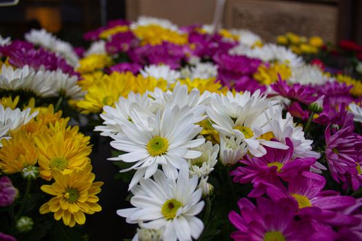 Plastic flowers for sale at the weekly outdoor market