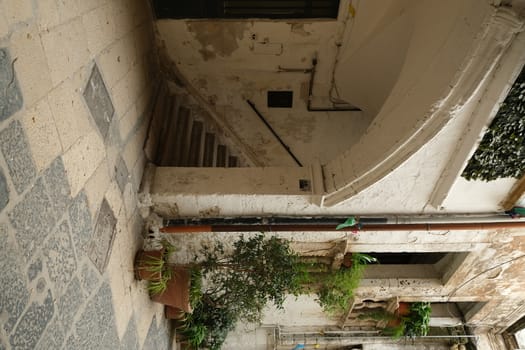 Bari, Puglia, Italy. About 11/2019. Typical Mediterranean house in an alleyway in the city of Bari. Facade painted white and climbing green plants.