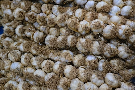 White garlic heads. Garlic is an aroma used in Italian cuisine.