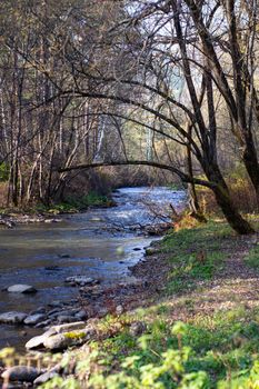 Beautiful old house next to the river in beautiful nature with forest.