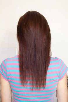 Woman's long straight chestnut hair.