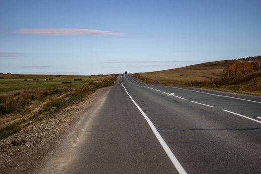 Natural asphalt road, horizontal photo.