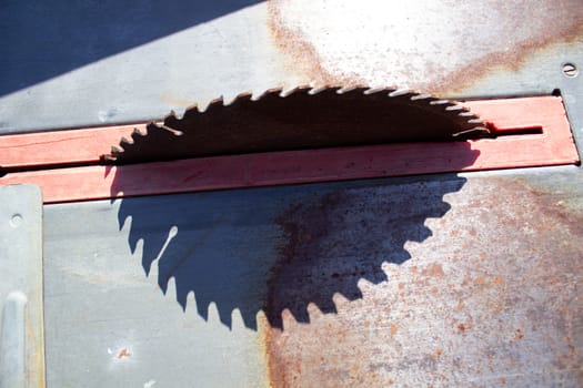 Round saw with teeth in the machine and its shadow.