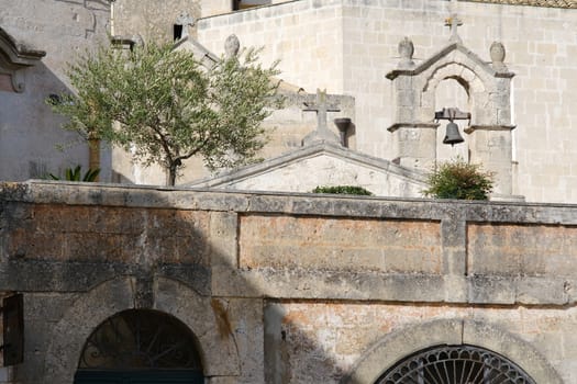 Olive tree in a courtyard of the city of Matera. Detail of small church with bell tower.