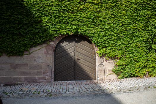 Wooden door in an old wall