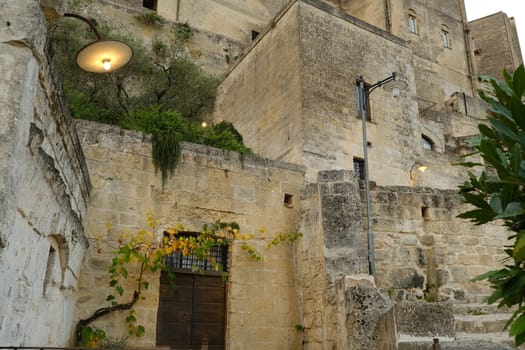 Matera, Basilicata, Italy. About 11/2019. Vine plant grown in a stone planter in the Sassi of Matera. Lights on at sunset.