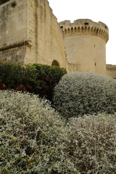 Tower of the Tramontano di Matera castle built in stone. In the foreground, olive-tree bushes pruned with a sphere.