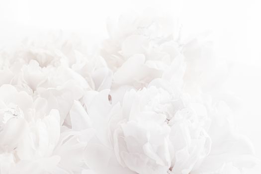 Pure white peony flowers as floral art background, wedding decor and luxury branding design