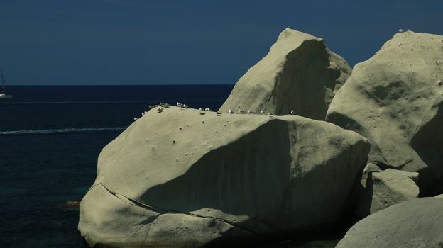 Rocks of falling in love in Forio on the island of Ischia near Naples. Group of seagulls resting on the rocks in the blue sea.