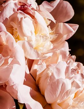 Peony flowers as luxury floral background, wedding decoration and event branding design