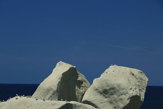 Rocks of falling in love in Forio on the island of Ischia near Naples. Group of seagulls resting on the rocks in the blue sea.