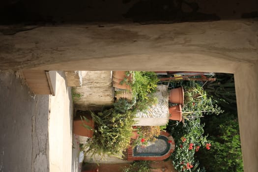 Courtyard of a Mediterranean garden on Procida Island. Red flowers of bignonia. and marble bathtub.