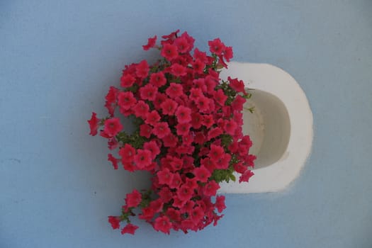 Vase of red flowers on Mediterranean house facade.