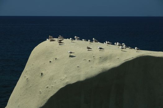 Rocks of falling in love in Forio on the island of Ischia near Naples. Group of seagulls resting on the rocks in the blue sea.