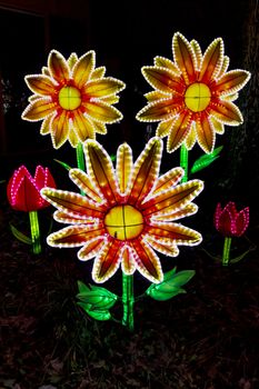 Illuminated flowers and tulips in the dark night