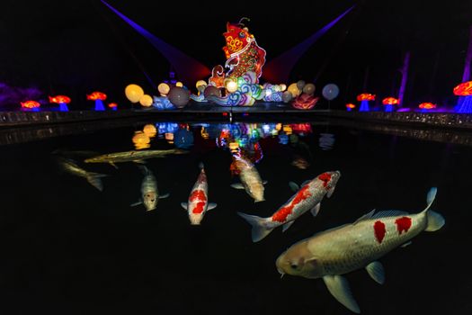 Illumination reflection on the flat water with big and colorful Koi fishes