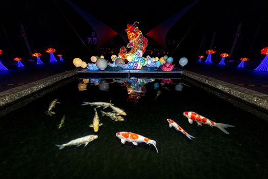 Illumination reflection on the flat water with big and colorful Koi fishes