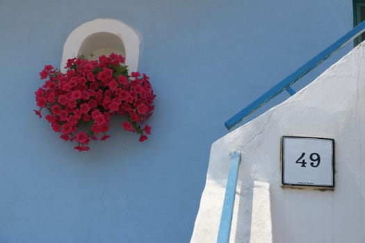 Procida island, Naples, Italy, About the July 2019. Vase of red flowers on Mediterranean house facade. Number plate