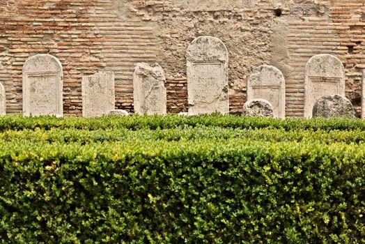 Rome, Italy. 05/01/2019. Diocletian Baths. Garden at the entrance to the museum.