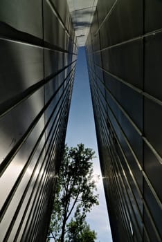 The facades of modern architecture of the Jewish museum of Berlin designed by the architect Daniel Libeskind with the outline of the trees