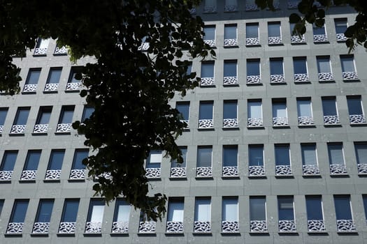 The floral motifs of the window parapets take up the leaves of the trees