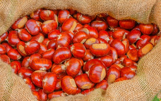 the chestnuts of the valley of Susa with a protected geographical indication ,are medium-large in size, have a characteristic color and crunchiness of the pulp and a sweet and a fragrant taste
