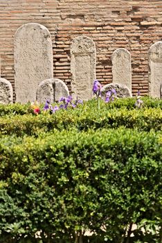 Rome, Italy. 05/01/2019. Diocletian Baths. Garden at the entrance to the museum.