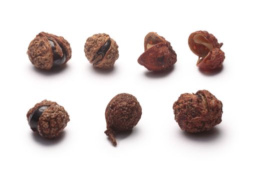 Set of Sichuan pepper (seeds of Zantoxylum simulans). Also known as China coriander, thingye, Szechuan(Szechwan) peppercorn. Clipping path for each seed, shadows separated
