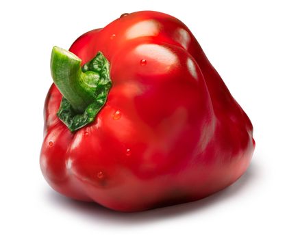 Sweet bell pepper, red, with chocolate spots. Clipping path, shadow separated, infinite depth of field