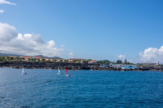 Walk on the Azores archipelago. Discovery of the island of Pico, Azores. Portugal. Madalena