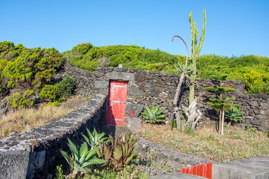 Walk on the Azores archipelago. Discovery of the island of Pico, Azores. Portugal. Madalena