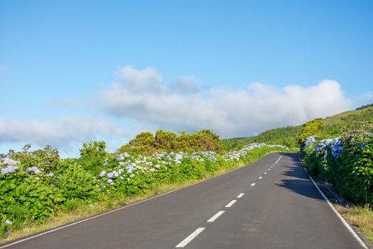 Walk on the Azores archipelago. Discovery of the island of Pico, Azores. Portugal. Madalena