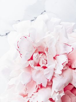 Bouquet of peony flowers on luxury marble background, wedding flatlay and event branding design