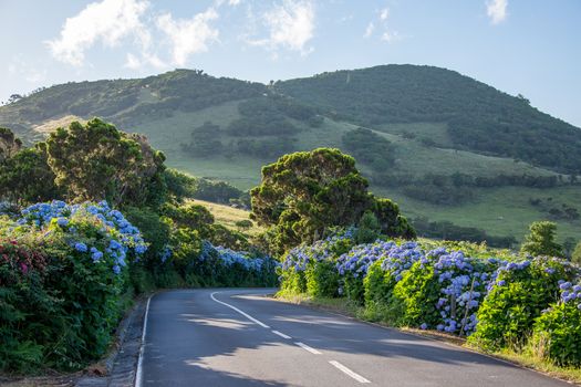 Walk on the Azores archipelago. Discovery of the island of Pico, Azores. Portugal. Madalena